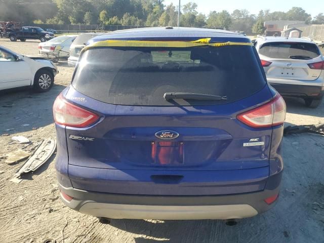 2013 Ford Escape SE