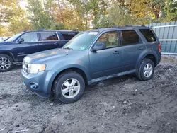 Ford salvage cars for sale: 2010 Ford Escape XLT