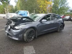 Tesla Model 3 salvage cars for sale: 2021 Tesla Model 3