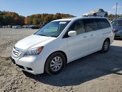 Vehiculos salvage en venta de Copart Windsor, NJ: 2010 Honda Odyssey EXL