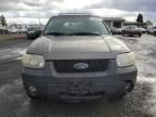 2006 Ford Escape XLT