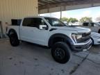 2022 Ford F150 Raptor