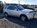 2010 Ford Escape Limited