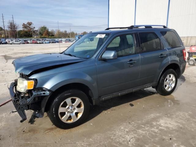 2011 Ford Escape Limited