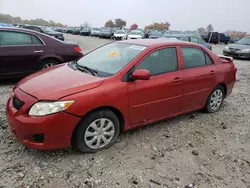 Salvage cars for sale at West Warren, MA auction: 2009 Toyota Corolla Base