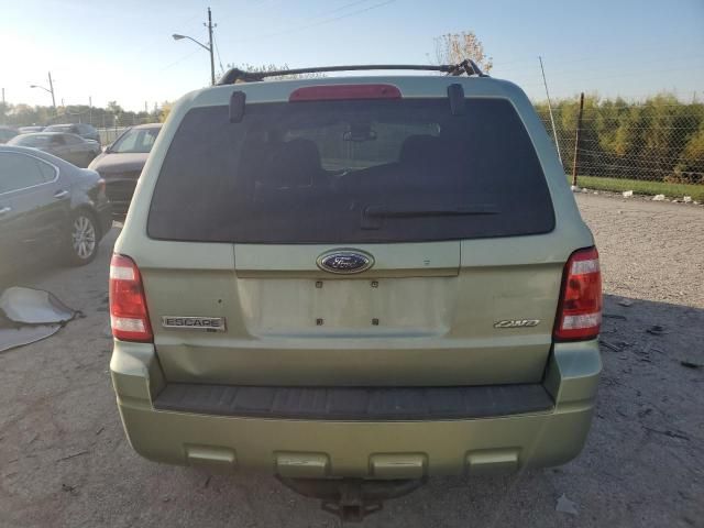 2008 Ford Escape XLT