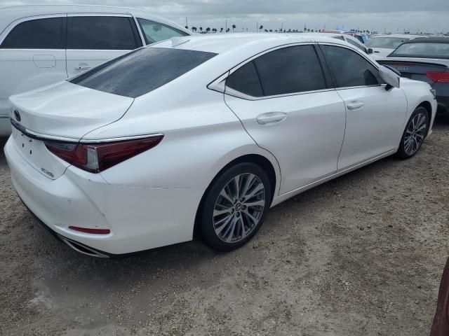 2019 Lexus ES 350