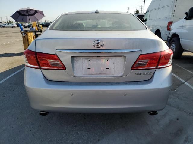 2011 Lexus ES 350