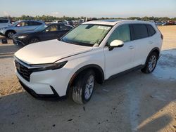 2023 Honda CR-V EXL en venta en Arcadia, FL