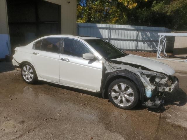 2010 Honda Accord EXL