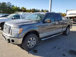 Ford Vehiculos salvage en venta: 2011 Ford F150 Supercrew