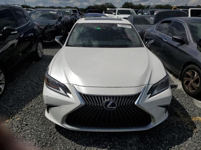 2019 Lexus ES 300H