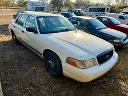 Ford Crown Victoria salvage cars for sale: 2009 Ford Crown Victoria Police Interceptor