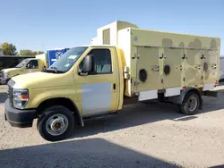 Salvage trucks for sale at Des Moines, IA auction: 2019 Ford Econoline E450 Super Duty Cutaway Van