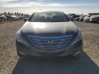 2012 Hyundai Sonata SE