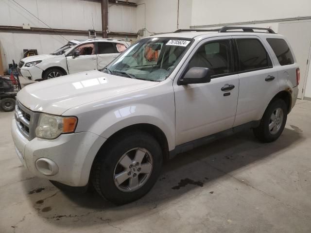 2010 Ford Escape XLT