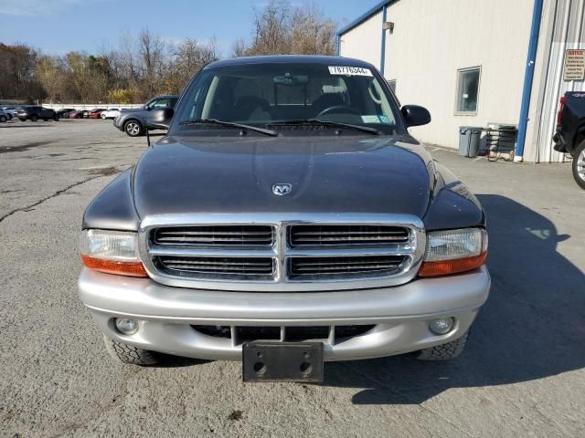 2004 Dodge Dakota Quad SLT