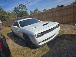 Dodge Challenger sxt salvage cars for sale: 2019 Dodge Challenger SXT