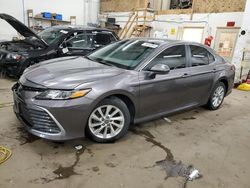 Salvage cars for sale from Copart Ham Lake, MN: 2022 Toyota Camry LE