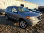 2009 Hyundai Santa FE SE