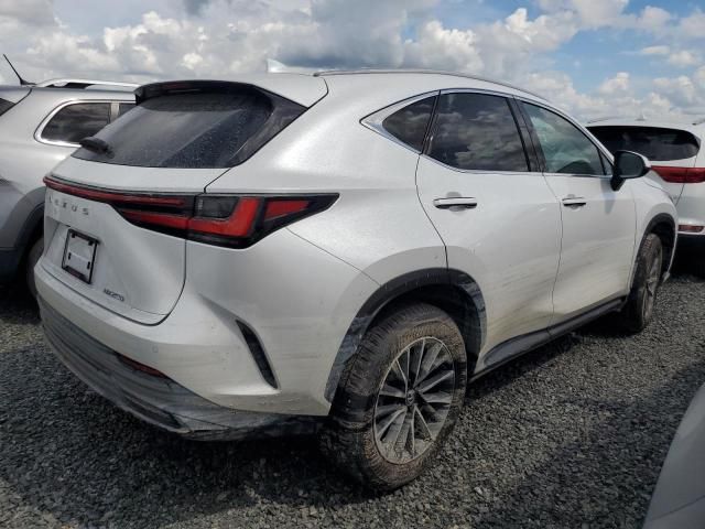 2025 Lexus NX 250 Premium