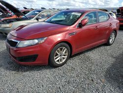 Salvage cars for sale at Riverview, FL auction: 2011 KIA Optima LX