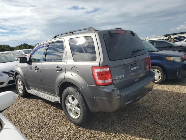 2011 Ford Escape XLT