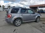 2008 Ford Escape Limited