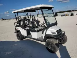 2022 Citc Low Speed en venta en Arcadia, FL