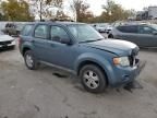 2012 Ford Escape XLS