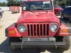 1998 Jeep Wrangler / TJ Sport