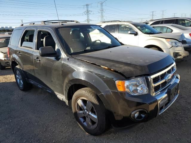 2010 Ford Escape Limited