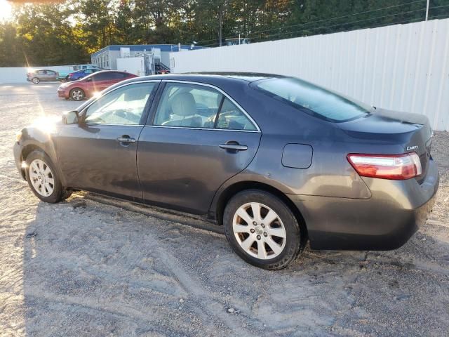 2009 Toyota Camry Hybrid