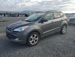 Salvage cars for sale at Lumberton, NC auction: 2014 Ford Escape SE