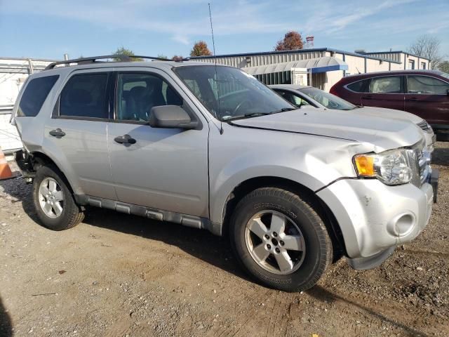 2009 Ford Escape XLT