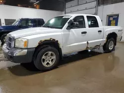 Salvage cars for sale at Ham Lake, MN auction: 2005 Dodge Dakota Quad SLT