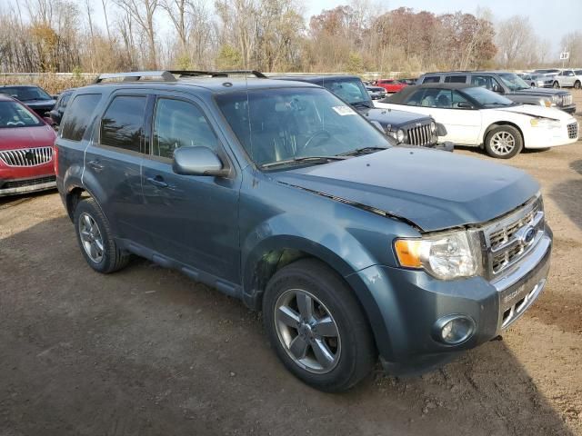 2011 Ford Escape Limited