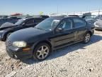 2001 Nissan Maxima GXE