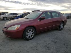 Salvage cars for sale at Antelope, CA auction: 2004 Honda Accord EX