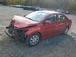 Salvage cars for sale at Marlboro, NY auction: 2010 Toyota Corolla Base