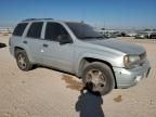 2007 Chevrolet Trailblazer LS