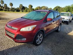 Flood-damaged cars for sale at auction: 2013 Ford Escape SE