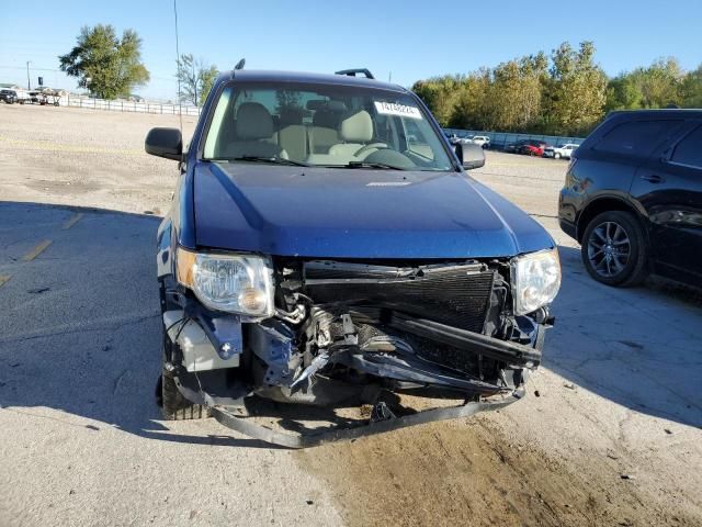 2008 Ford Escape XLT