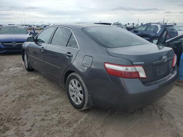 2008 Toyota Camry Hybrid