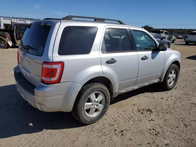 2009 Ford Escape XLT