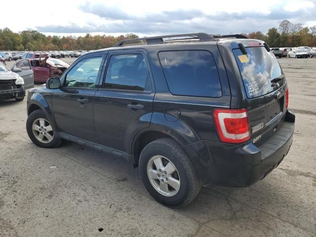 2011 Ford Escape XLT