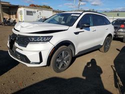 KIA salvage cars for sale: 2021 KIA Sorento EX