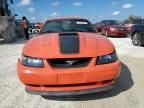 2004 Ford Mustang Mach I