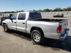 2004 Dodge Dakota Quad SLT