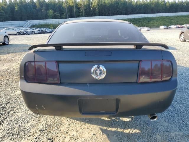 2005 Ford Mustang